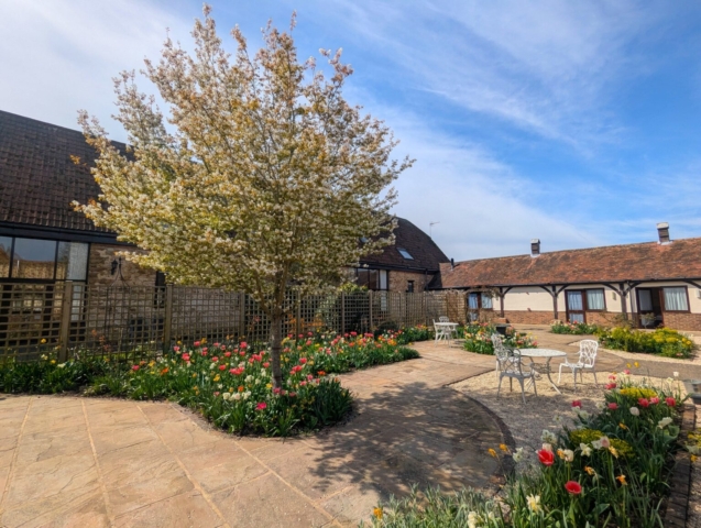 A blooming tree stands in a sunny courtyard garden surrounded by colourful tulips, paved paths, and white metal chairs and tables, with traditional barn buildings in the background under a blue sky.