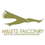 millets falconry