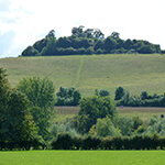 wittenham clumps