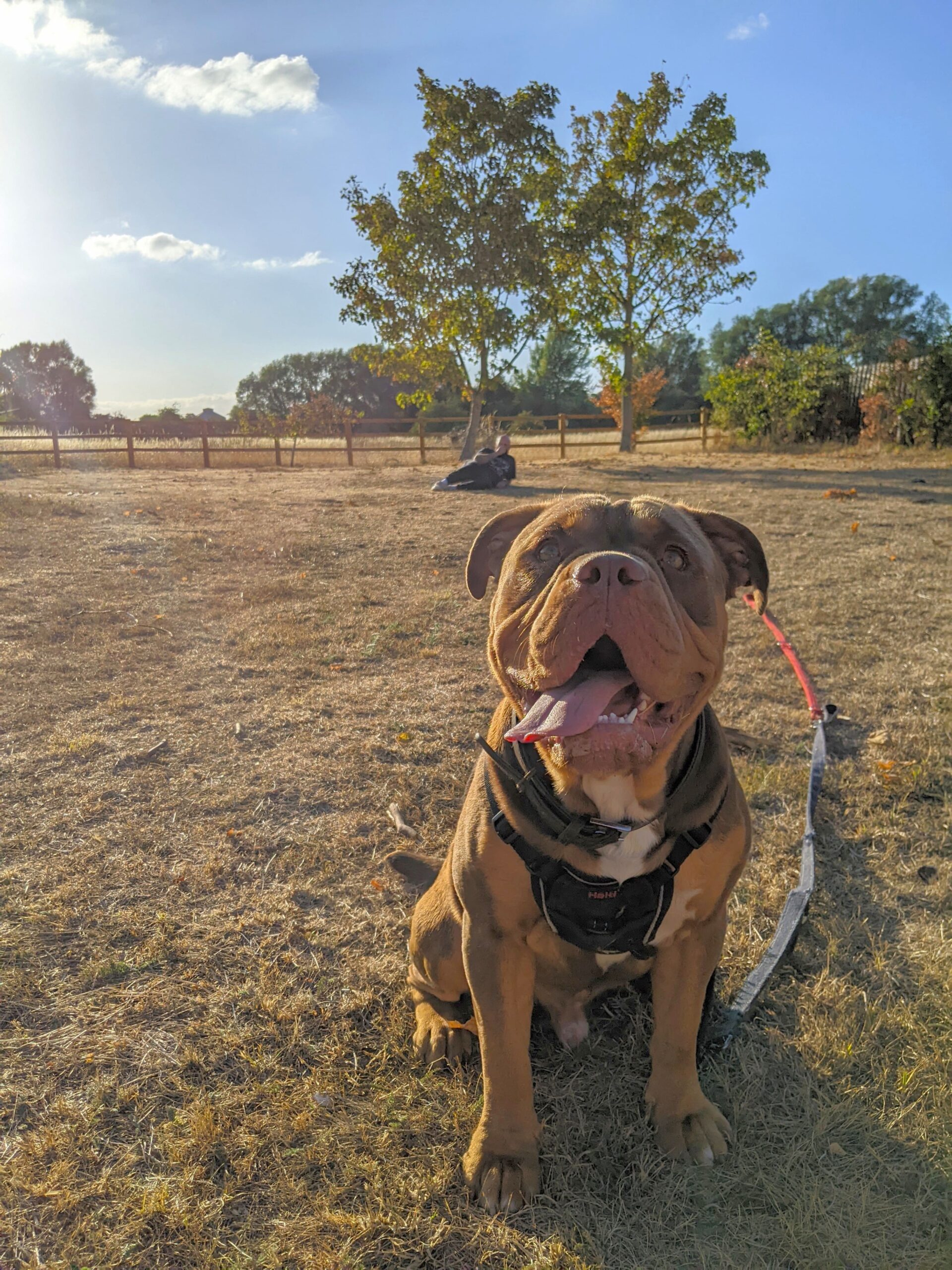 pets welcome at kingfisher barn c