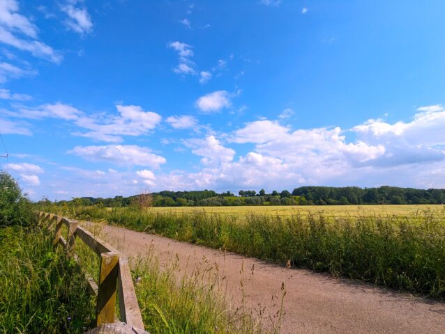 A rural lane bordered by tall grass runs alongside a wooden fence, with open fields and a tree-lined horizon under a blue sky scattered with white clouds.